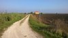WP_20161016_09_45_38_Pro.jpg