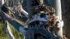 WP_20161016_10_07_15_Pro.jpg
