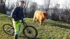 IMG-20161226-WA0027.jpg