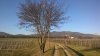 WP_20161227_10_05_33_Pro.jpg