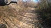 WP_20161230_006.jpg