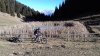 MTB Farno Malgalunga 06Gen2017 (43).jpg