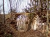 IMG_20170130_125048.jpg
