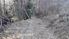 IMG_20170311_132659.jpg