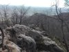 IMG_20170305_105516.jpg