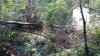 IMG_20160910_115341.jpg