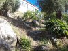 20170420_072823.JPG