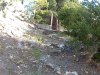 20170420_072857.JPG