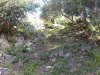 20170420_072754.JPG