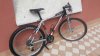 20160619_104731.jpg