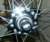 20170603_111352.jpg