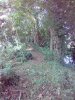 19029634_10210452581325506_2291397492026432036_n.jpg