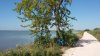 IMG-20170702-WA0007.jpg