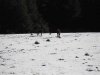 Immagine-007.jpg