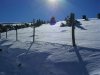 DSCN3113.jpg