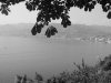 P1010010.jpg