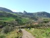 DSCF3446.jpg