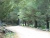 DSCF3489.jpg