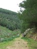 DSCF3511.jpg