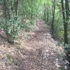 IMG_20170810_092028_521.jpg