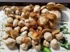 20170828_115059-01.jpeg