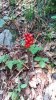 20170817_110241.jpg