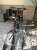 IMG_20170904_112543.jpg