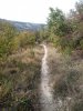 IMG_20170929_143149.jpg
