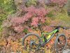 IMG_20171029_114044.jpg