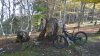 IMG_20171104_100452.jpg