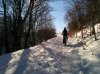 IMG_20171203_120846.jpg