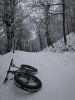 IMG_20171202_122221.jpg