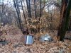IMG_20171107_150545.jpg