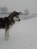 20171211_082535.jpg