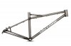 FROODD27-RWB_P1.jpg