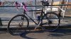 WP_20180124_10_03_47_Pro.jpg
