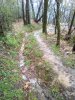 IMG_20180404_104149.jpg