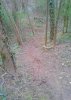 20180402_185006-1-1-1.jpg