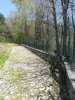 IMG_20180419_130218.jpg