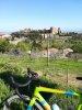 brunello 2.jpg