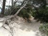 IMG-20180424-WA0003.jpg