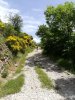 IMG_20180607_124703.jpg