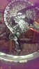 IMAG0486.jpg