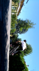 Screenshot_2018-06-30-12-33-45.png