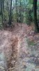 20161119_135646.jpg