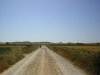 DSCN1275.jpg
