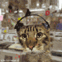 s_5418521c2cc7b2733d1e0d0ce79c4de7.gif