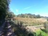 IMG_20181002_152545.jpg
