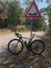 IMG_1550.jpeg