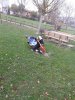 IMG-20181111-WA0018.jpg